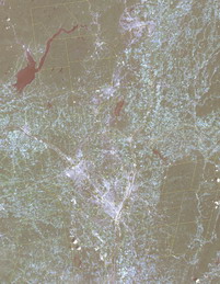 2002 LandSat True-Color Composite Image Map